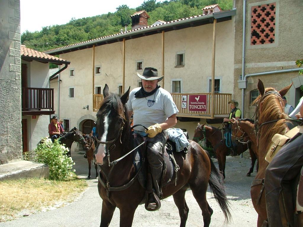 Toncevi Eco Estate Hotel Branik Exterior foto